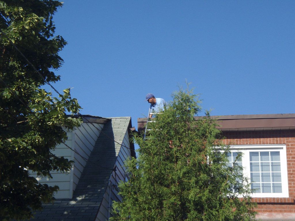 local roofer local contractor
